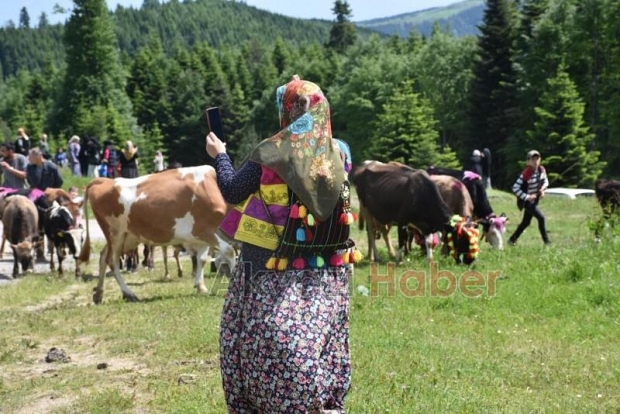 Gelin gibi süslenen hayvanları ile göçe başladılar