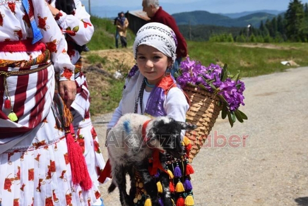 Gelin gibi süslenen hayvanları ile göçe başladılar