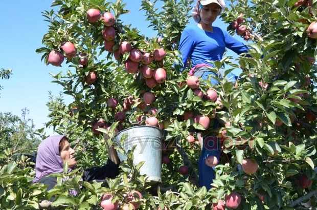 Tarla ile market arasındaki fiyat farklarını değerlendirdi