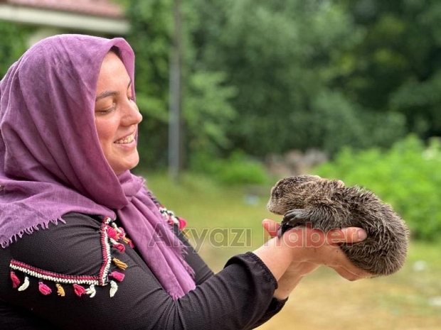 Akyazı'da bulunan yavru su samuru Milli Parklar'a teslim edildi