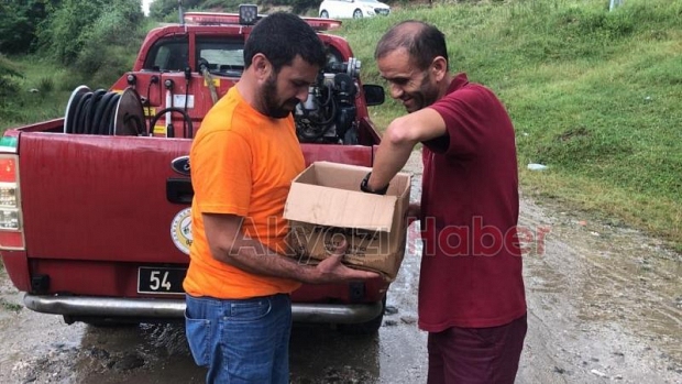 Akyazı'da bulunan yavru su samuru Milli Parklar'a teslim edildi
