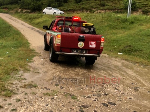 Akyazı'da bulunan yavru su samuru Milli Parklar'a teslim edildi