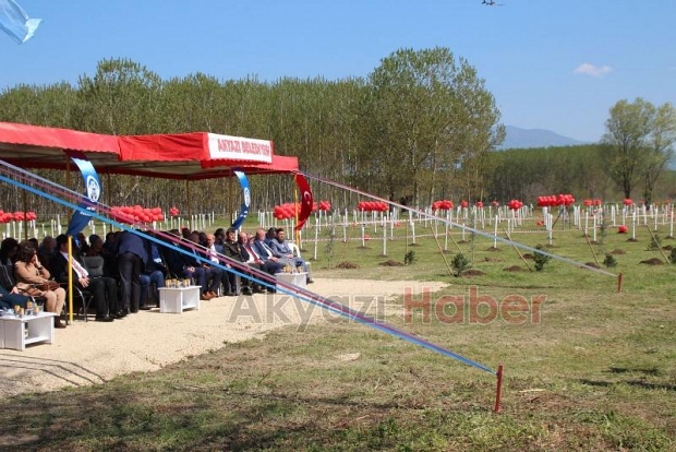 15 Temmuz Şehitleri ve Milli İrade Ormanı'nı dikenlerle kaplı