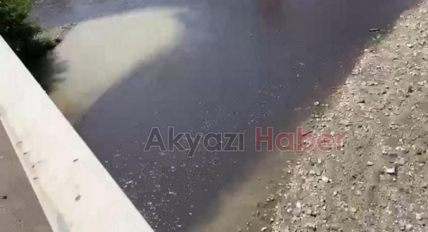 Mudurnu Deresi'nin rengi siyaha döndü