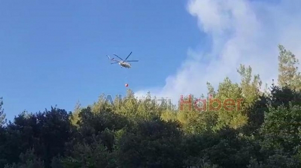 Taraklı'da orman yangını 