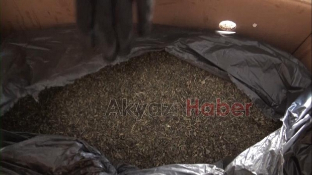 Sakarya'daki uyuşturucu deposuna baskın; 2 ton 200 kilo ele geçirildi