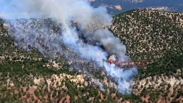 Göynük'te büyük orman yangını