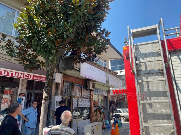 Elektrik panosunda yangın çıktı