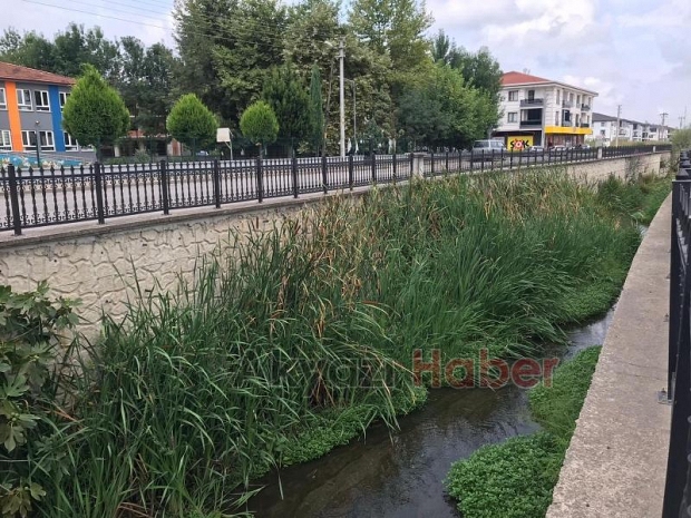 Bu şikayet Karacasu Deresi için