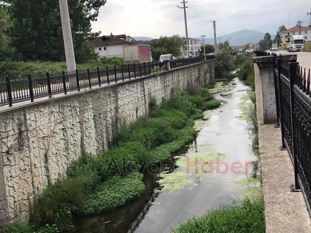 Bu şikayet Karacasu Deresi için