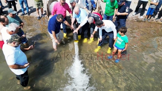 Sapanca Gölü’ne 100 bin sazan salındı