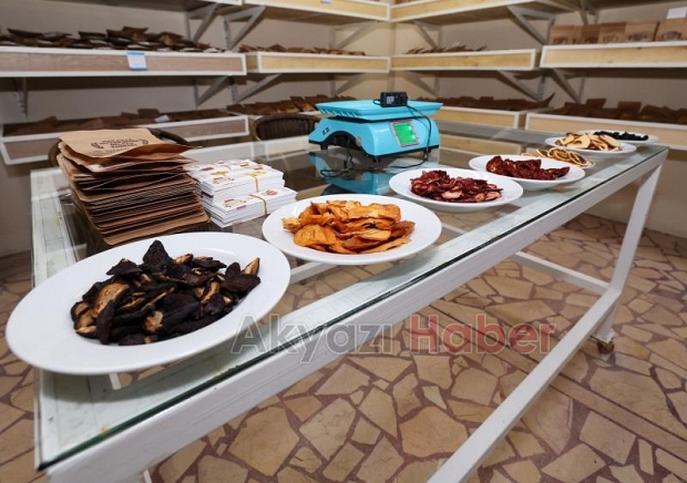 Başkan Yüce, Meyve-Sebze Kurutma Tesisini inceledi