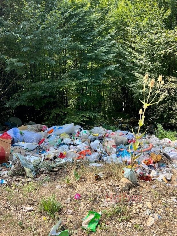 Acelle Yaylası'nda çöpleri ormana attılar