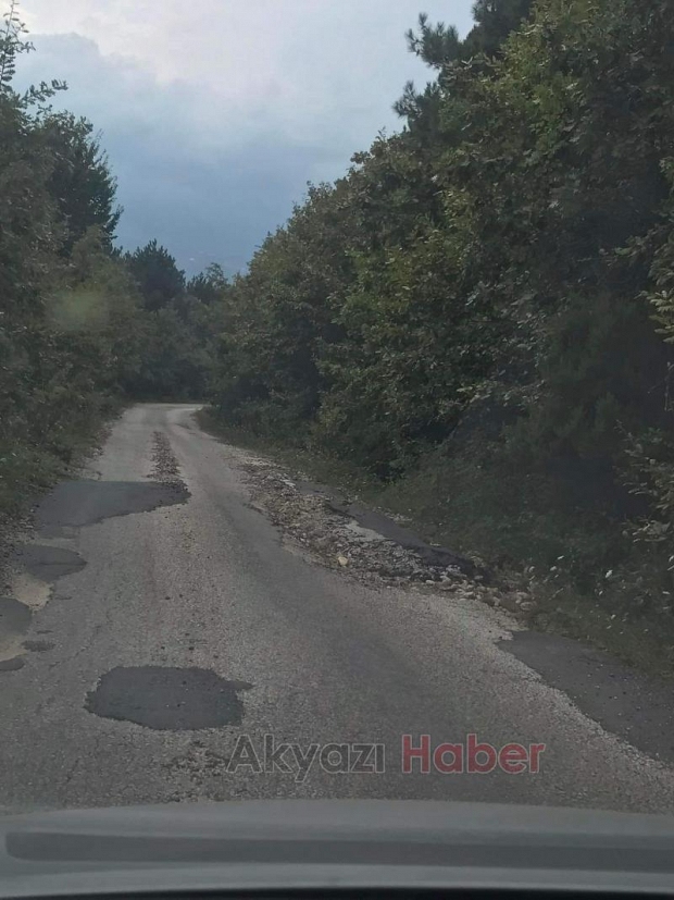 Akyazı'da bozuk yol tepkisi