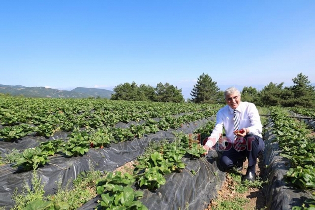 Sakarya Dünya tarım şehri oluyor
