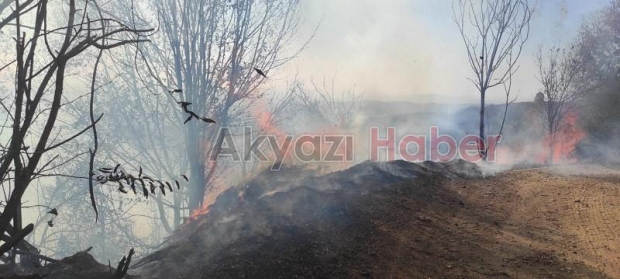 Orman yangını