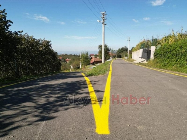 Akyazıda Kuzuluk ve Güzlek yıldızı parlayan iki mahalle