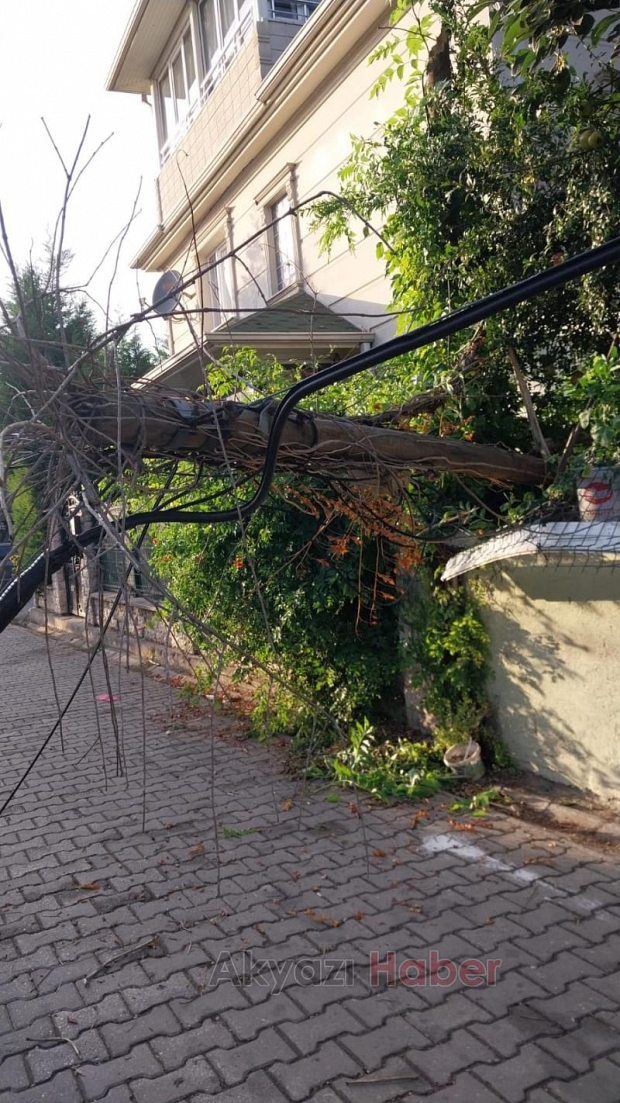 Akyazı'da telefon direği devrildi