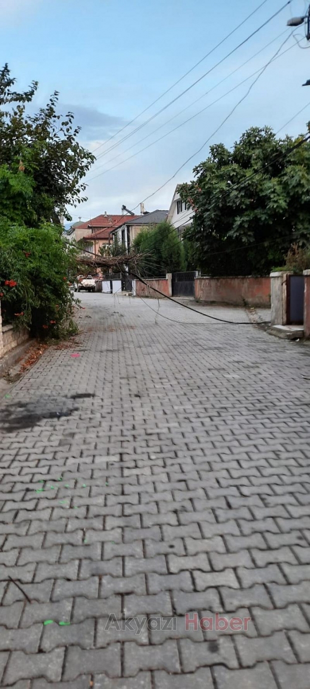 Akyazı'da telefon direği devrildi