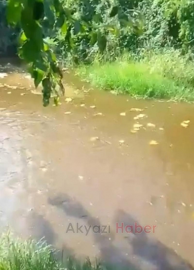 Alaağaç'ta dereye kanalizasyon aktı