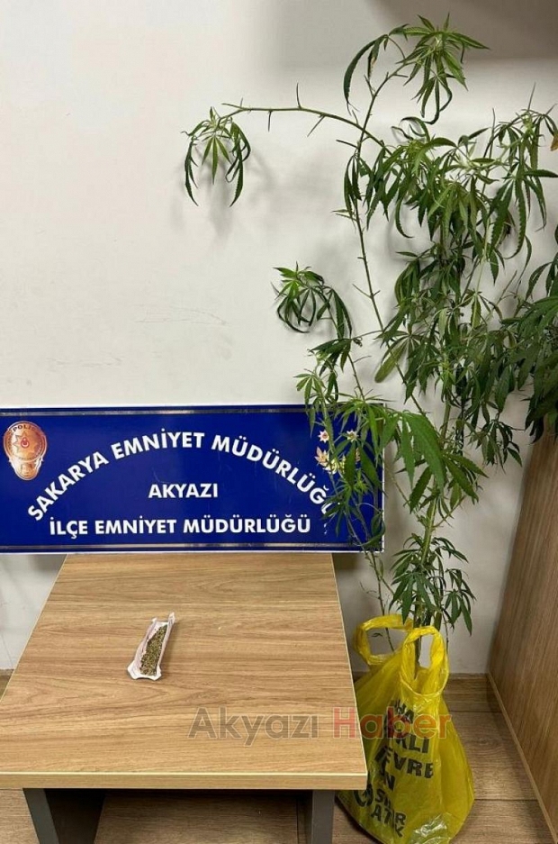 Akyazı'da uyuşturucu operasyonları: 64 kişi yakalandı