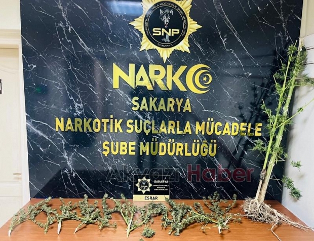 Sakarya'da uyuşturucu tacirlerine darbe: 111 kişi yakalandı