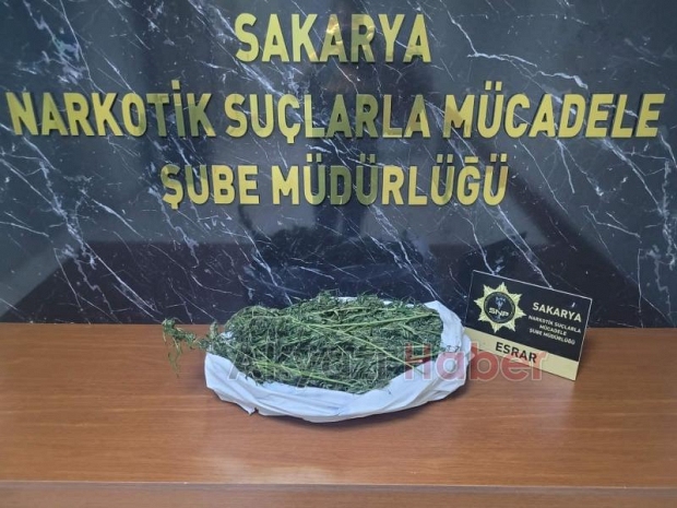 Sakarya'da uyuşturucu tacirlerine darbe: 111 kişi yakalandı