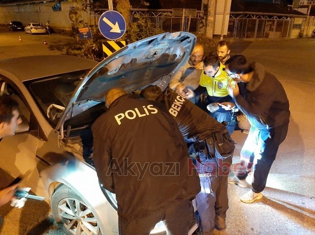 Polis ve Bekçi Yavru Kediler İçin Seferber Oldu!