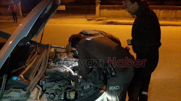 Polis ve Bekçi Yavru Kediler İçin Seferber Oldu!