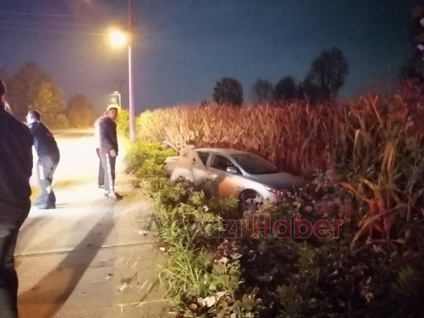 Tarlaya uçan otomobilde sürücü yaralandı