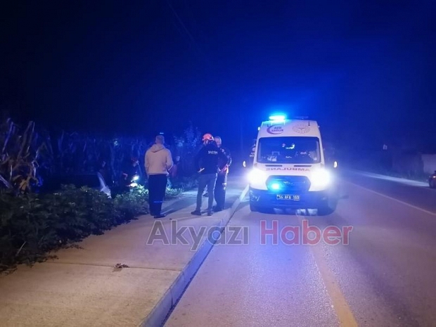 Tarlaya uçan otomobilde sürücü yaralandı