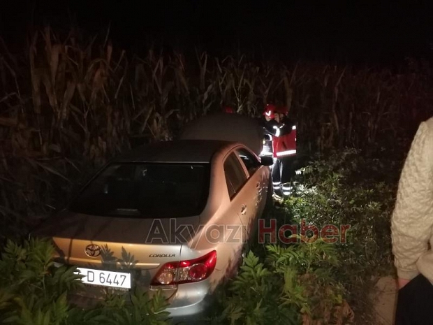 Tarlaya uçan otomobilde sürücü yaralandı