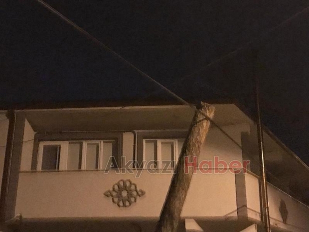 Ağaçlar fırtınaya dayanamayıp yıkıldı