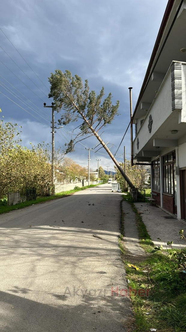 Ağaçlar fırtınaya dayanamayıp yıkıldı