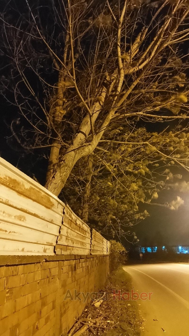 Fırtına Akyazıyı yıkıp geçti