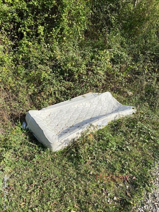 Ormanı çöplüğe çevirdiler