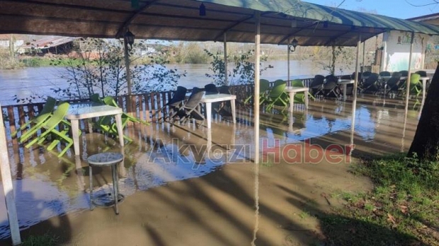 Sakarya Nehri taştı