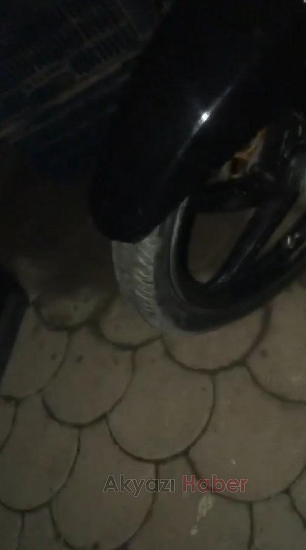 Lastikleri yaran çukur tepkisi