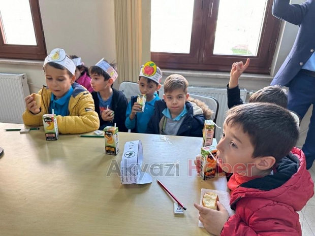 Akyazı'da öğrenciler adliye sarayını gezdi