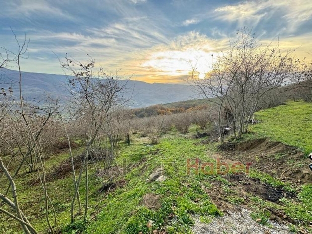 Satılık arsa