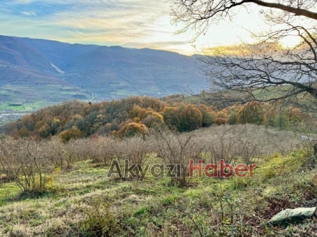 Satılık arsa