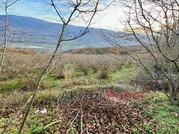 Satılık arsa