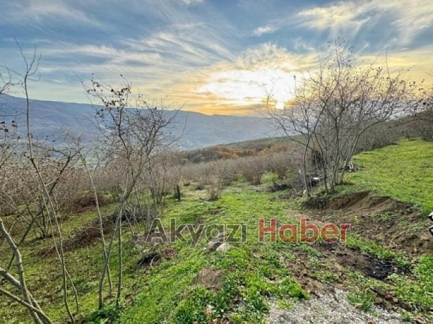 Satılık arsa