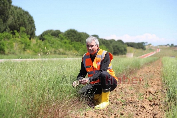 Toprağının bereketi Sakarya’yı dünya sahnesine taşıyor