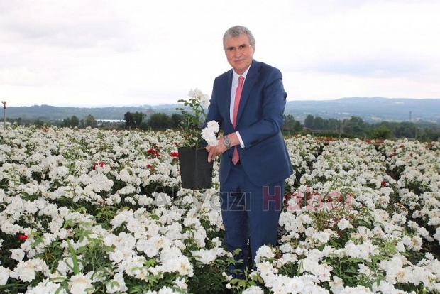Toprağının bereketi Sakarya’yı dünya sahnesine taşıyor