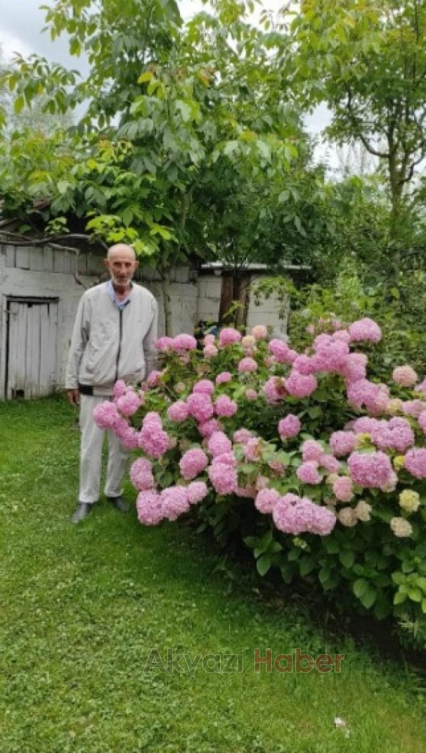 Hasan Bahadır vefat etti