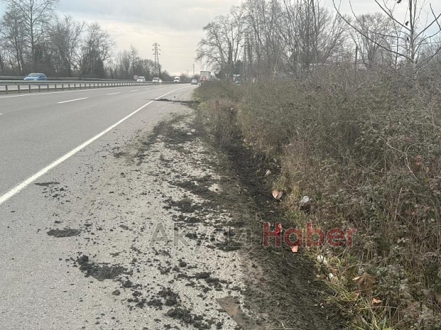 Yoldan Çıkan Tır Tarlaya Girdi