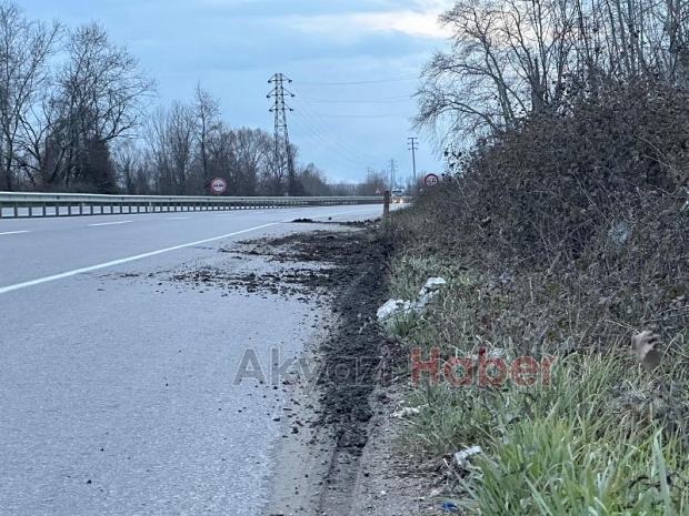 Yoldan Çıkan Tır Tarlaya Girdi