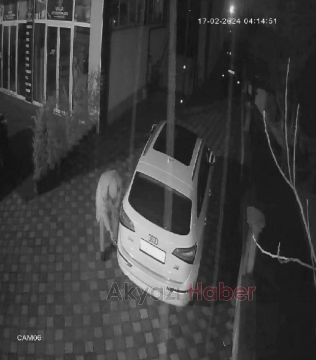 Akyazı'da park halindeki araçların lastiklerini kesti