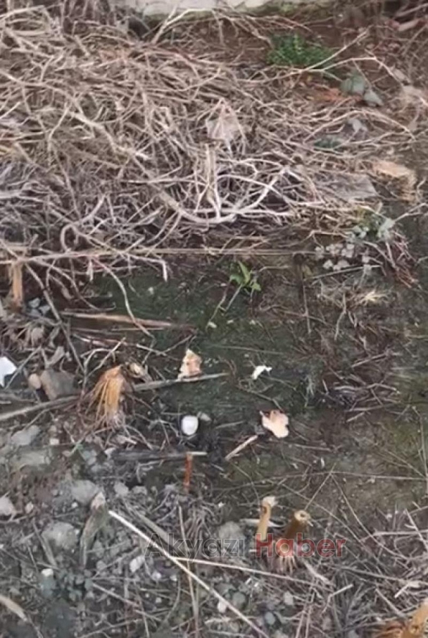 Rögar Ve Gider Borusu Şikayeti